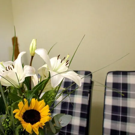 Danijela 아파트 *